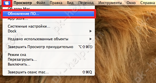 Скриншот Обновление ПО