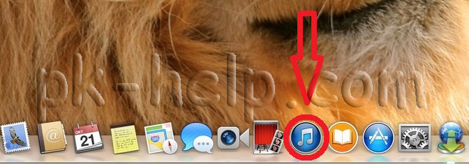 Фото программа iTunes для переноса музыки на iPod, iPhone, iPad